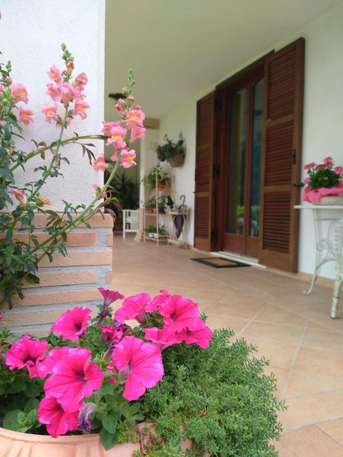 B&B Il Cantico Greccio Exterior photo